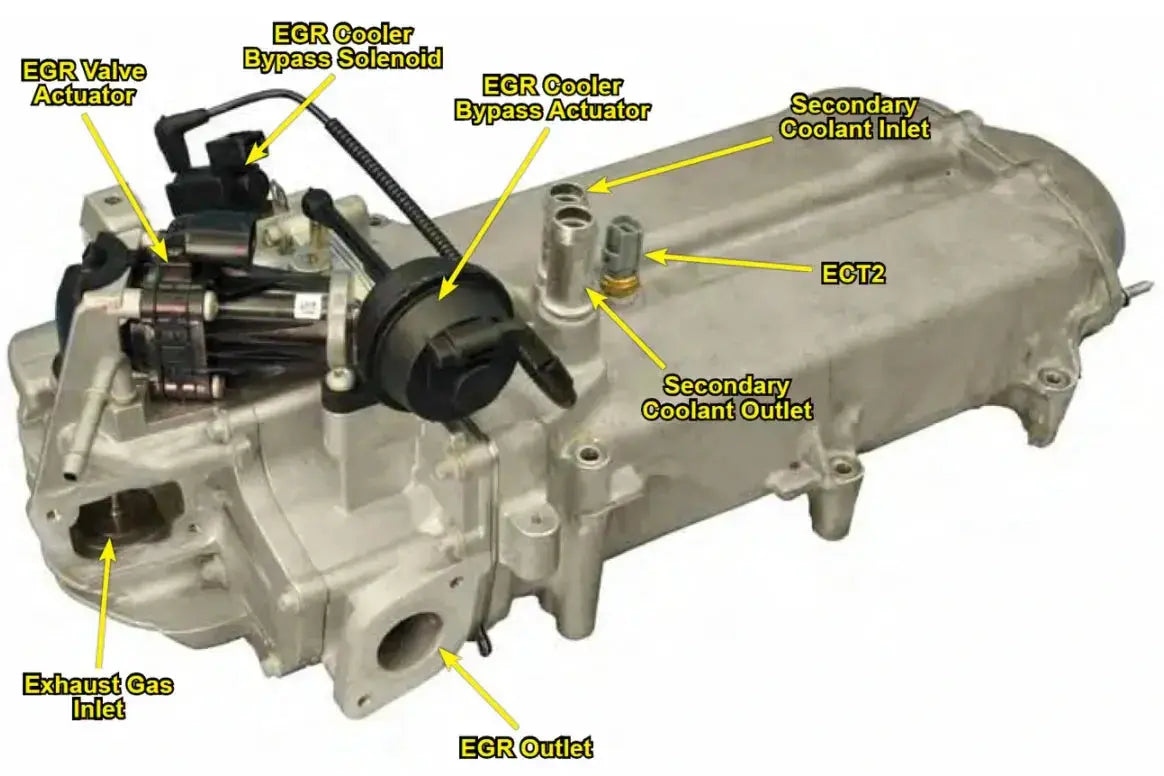 EGR Valve