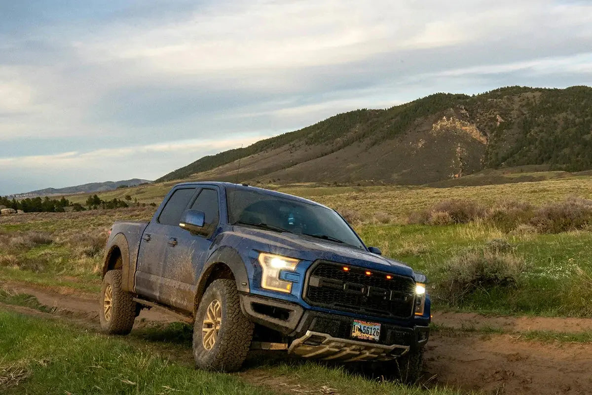 Ford