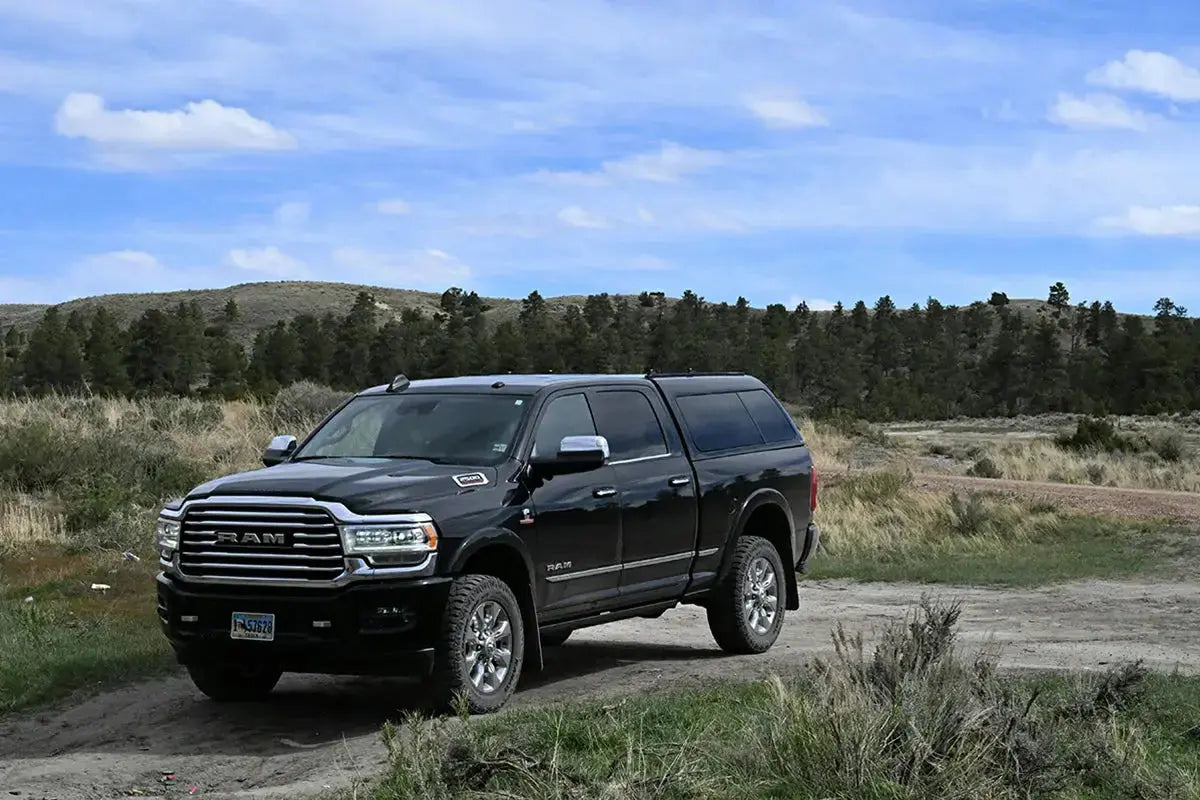 2015 RAM